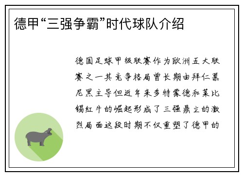 德甲“三强争霸”时代球队介绍